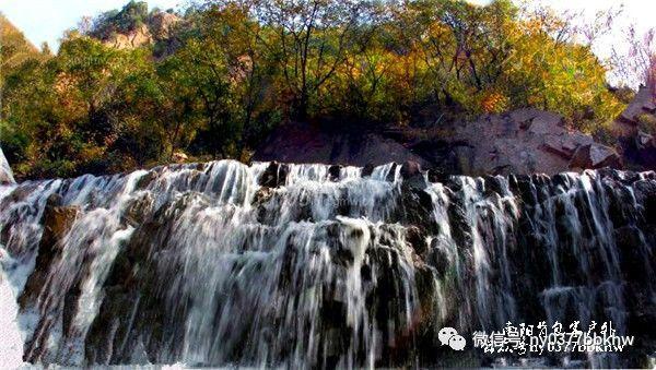 如来一提起大鹏的身世,孙悟空一脸恍然大悟:原来是你亲娘舅啊-专业真实的知识问答网页